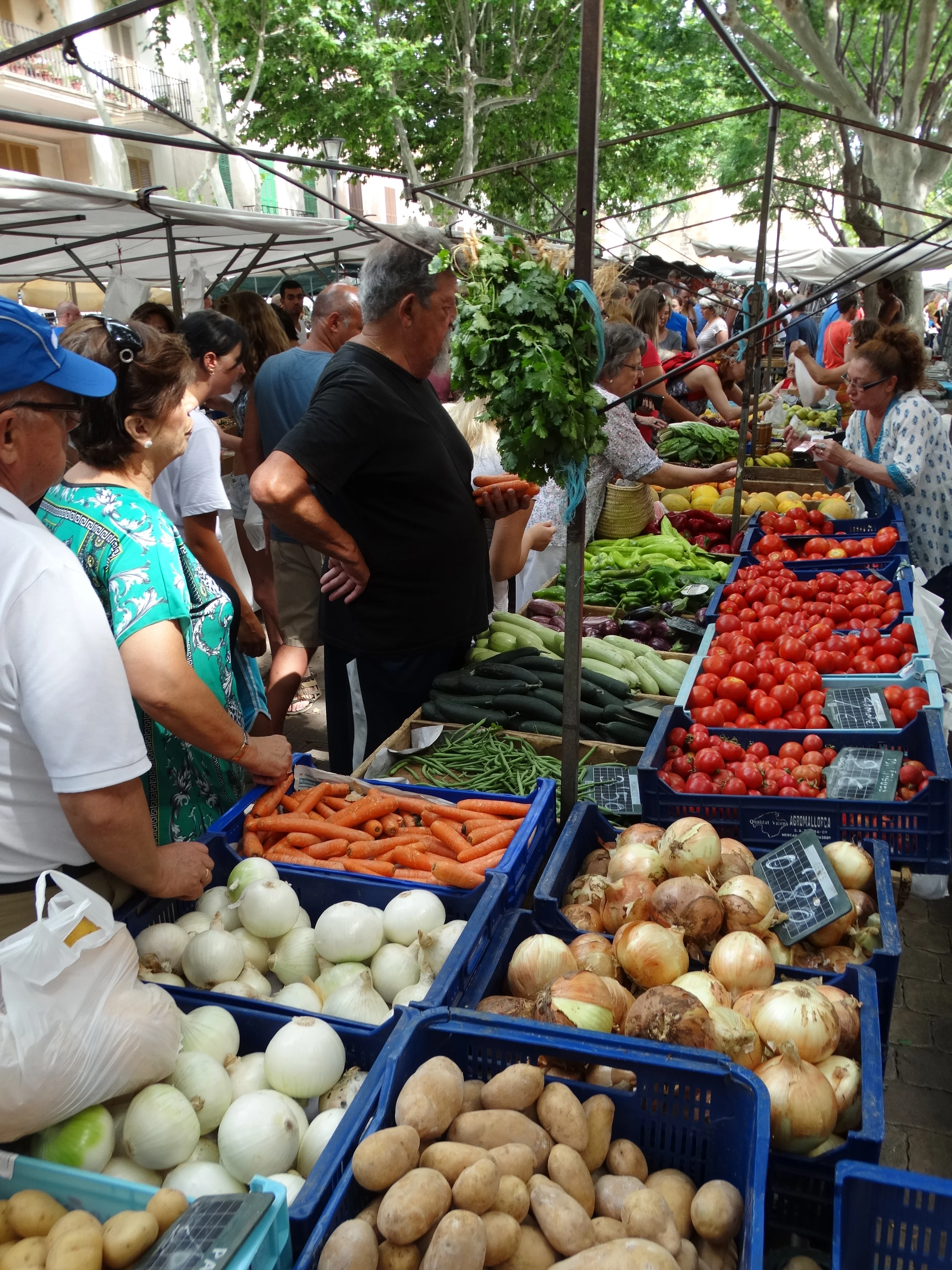 Stalls at Alcudia's weekly market with fresh produce, crafts, and local goods