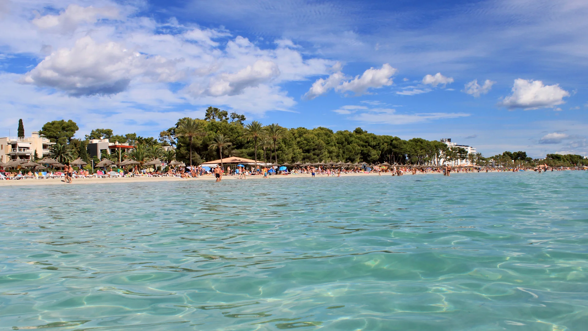 Long stretch of fine white sand at Playa de Alcudia with shallow turquoise water and the bay beyond