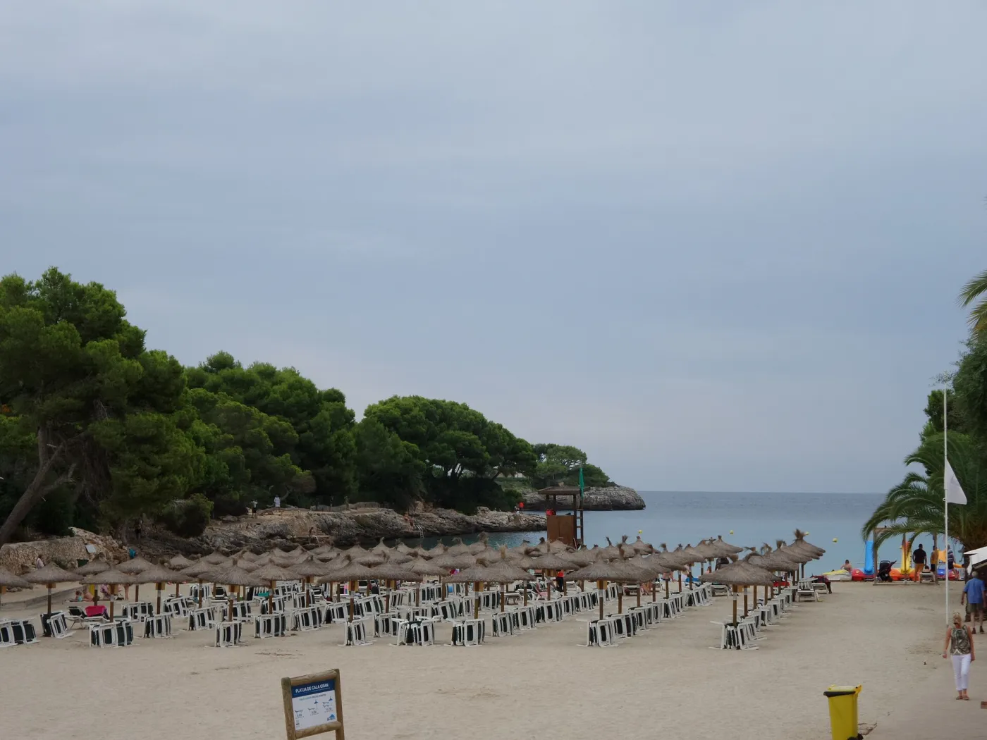 Cala Gran beach in Cala d'Or with turquoise water and pine-covered cliffs