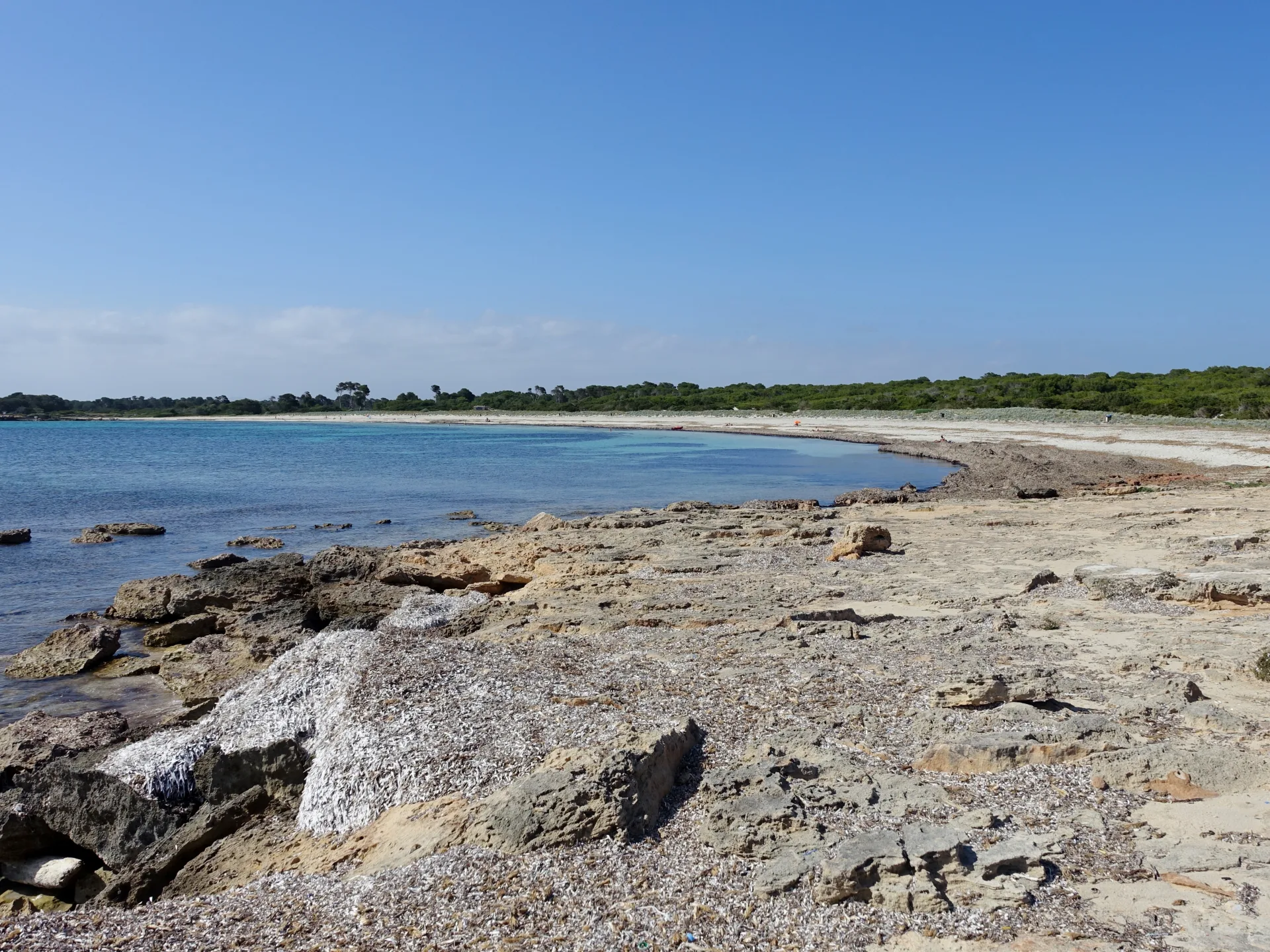 Playa virgen de Es Caragol, una de las calas más salvajes cerca de Colonia de Sant Jordi